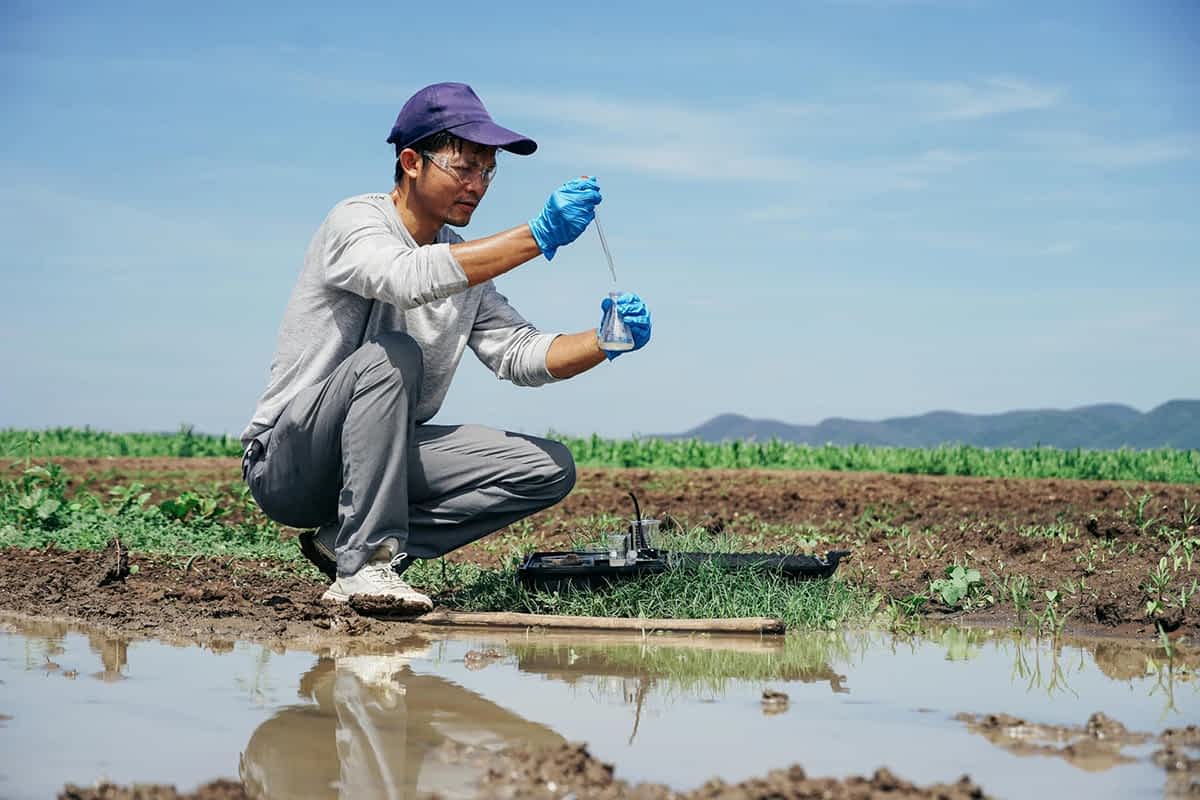 Male researcher collecting water and soil samples in an agricultural field, holding a pipette and dropping liquid into a beaker, testing the pH of the soil.