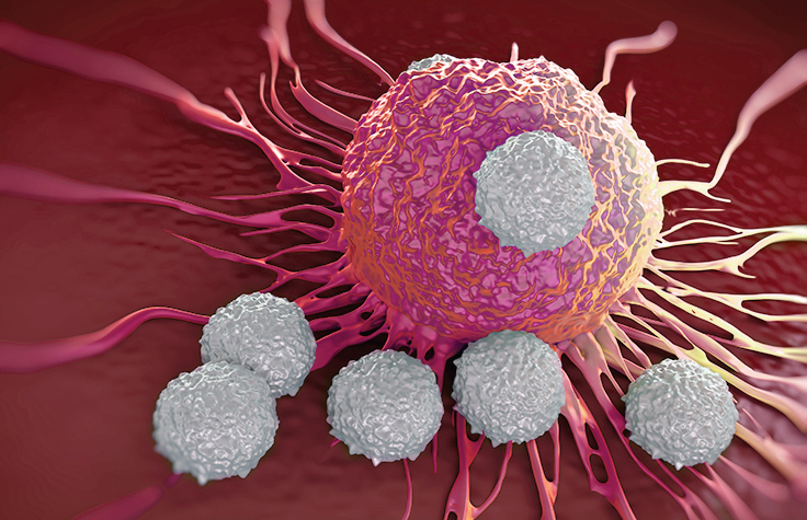 免疫療法におけるがん細胞とT細胞