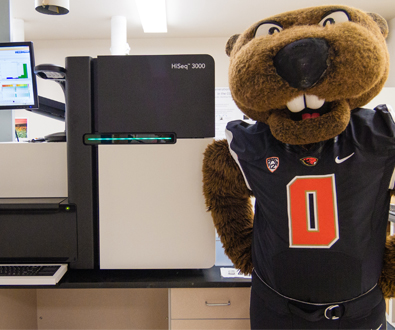 Oregon State University to Sequence Mascot’s DNA