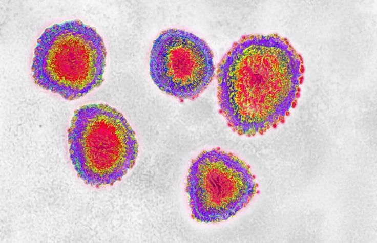 コロナウイルスの特性化と管理に役立つイルミナシーケンサー 
