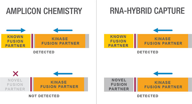RNA hybrid-capture approaches provide comprehensive fusion partner-agnostic detection<