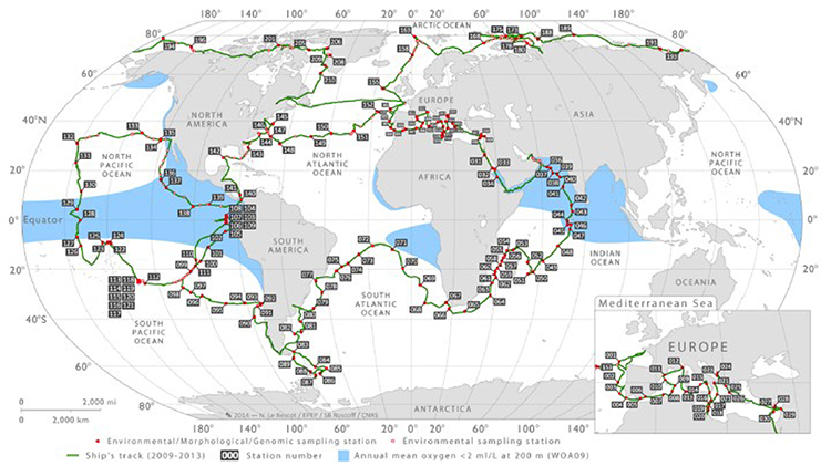 大規模プランクトン調査のための七つの海への航海