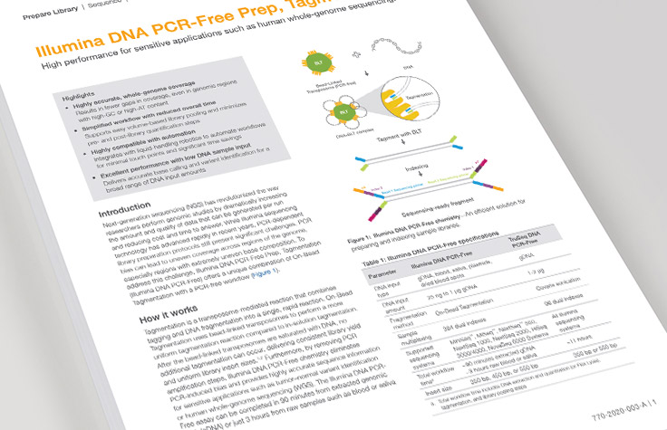 Illumina DNA PCR-Free Prep