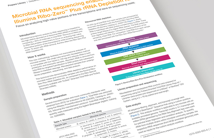 rRNA除去を伴う微生物トランスクリプトーム解析