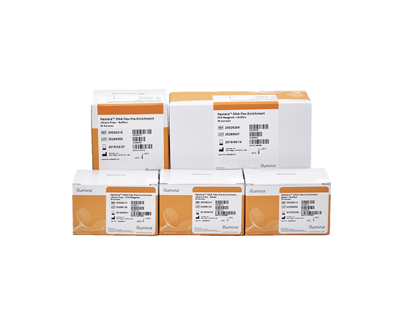 Illumina DNA Prep with Enrichment | 高速で柔軟なターゲットリシーケンス