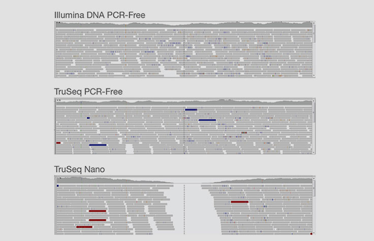Illumina DNA PCR-Freeのカバレッジ均一性