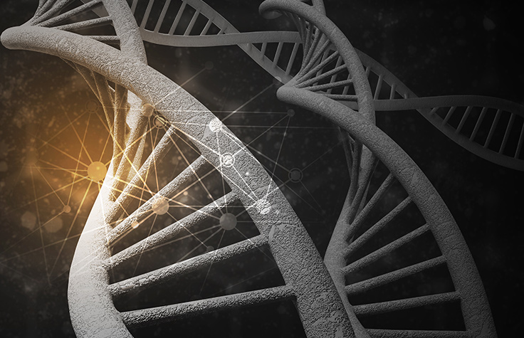Human Genetics and Cancer Genomics