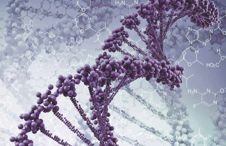 DNAシーケンス法のレビュー